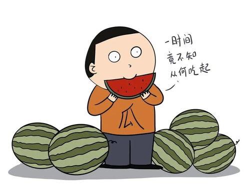 吃瓜干货,吃瓜干货大放送！