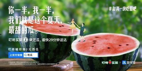 摘花吃瓜的文案,品味生活小确幸