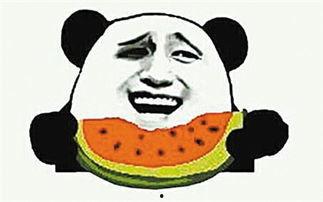 吃瓜群众的瓜是瓜子?
