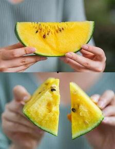 浙江衢州吃瓜