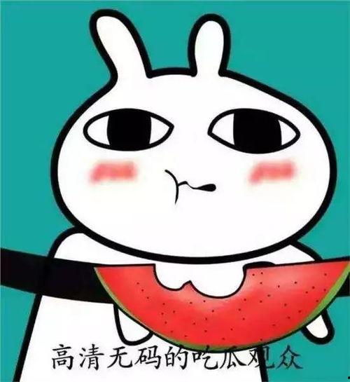 吃瓜呢表情包,吃瓜群众视角下的趣味瞬间