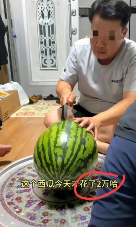 抖音的人吃瓜,人吃瓜背后的趣味与思考