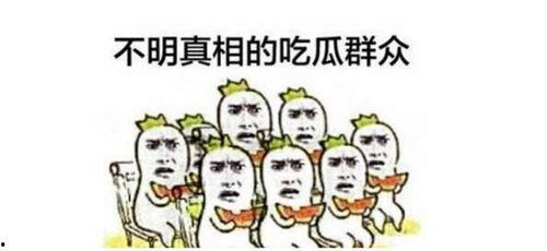 吃瓜群众道路,探寻网络舆论背后的真相