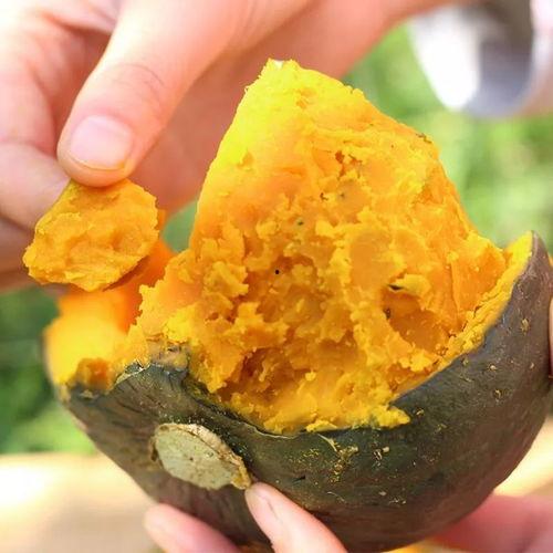 天天吃板栗瓜,天天享受的甜蜜滋味
