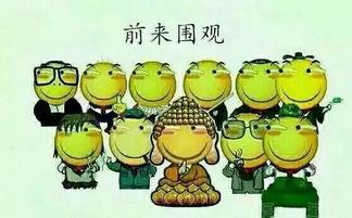 吃瓜群众416