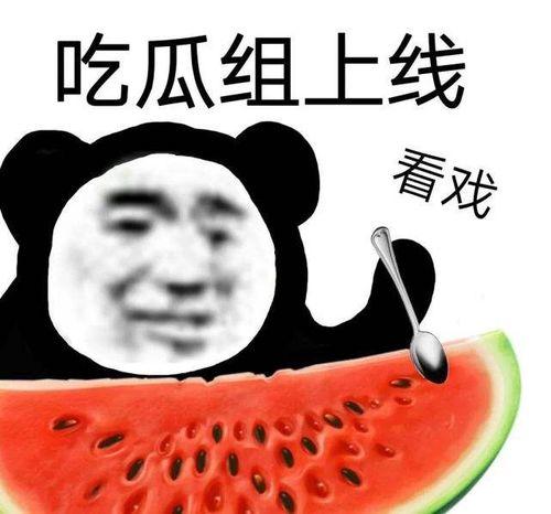 吃瓜读书会攻略,解锁阅读新姿势，畅游知识海洋