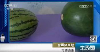 小瓜皮吃瓜圈