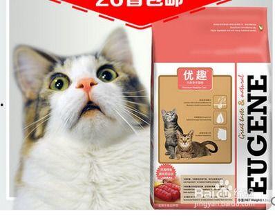 睡鼠可以吃瓜吗,探索它们对瓜果的喜爱