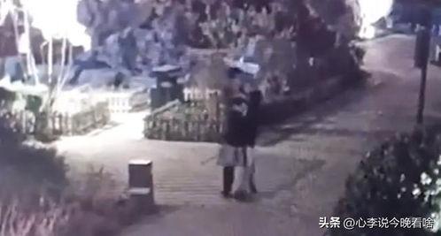 曲阜吃瓜事件视频,一场引发热议的网络视频风波