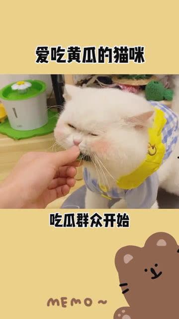 开始吃瓜啦,从“开始吃瓜啦”看明星幕后故事
