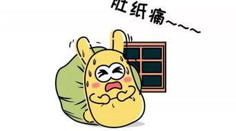 吃瓜群众369,网络红人的崛起之路