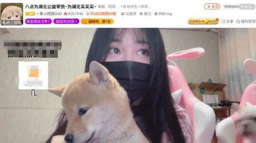 吃瓜小团团,揭秘娱乐圈背后的那些事儿