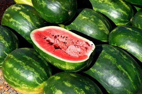 云南高校吃瓜下载